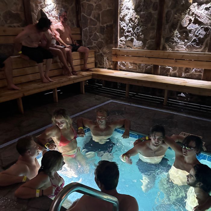 swedish sauna group 2