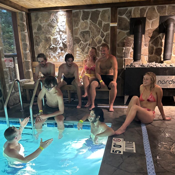 swedish sauna group